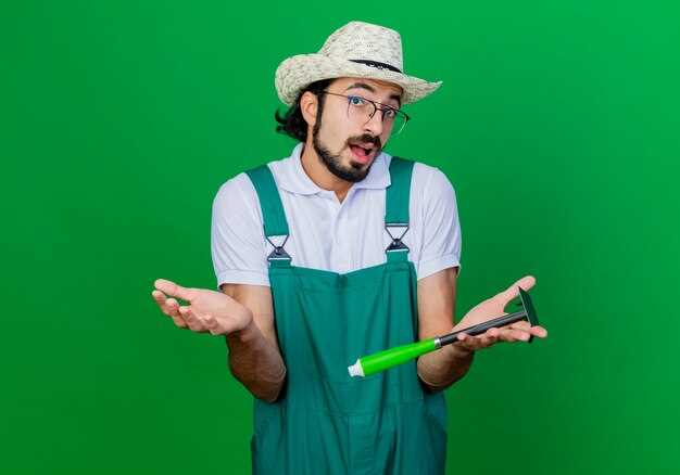 Выбор и покупка Greenworks: на что обратить внимание