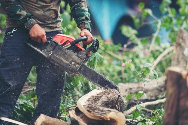 Где искать скидки и акции на технику Greenworks