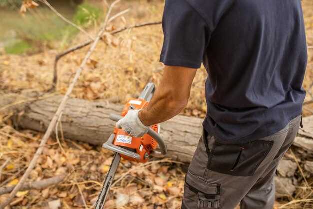 Модель Ryobi RLT1820R: особенности и преимущества