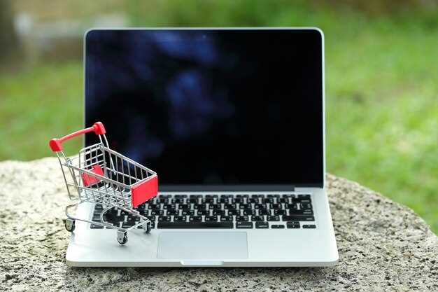 Обзор сезонных распродаж и спецпредложений
