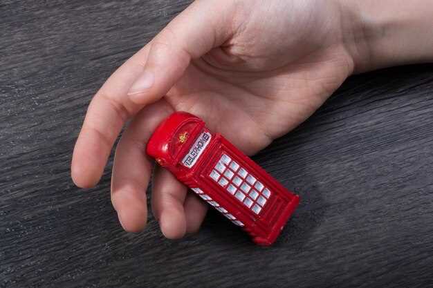 Дополнительные функции: игры, Organizer, Bluetooth и другие